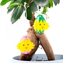 Accesorii craft - Puisori din oua