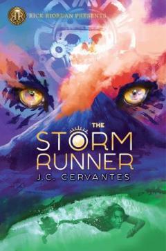 Coperta cărții Storm Runner