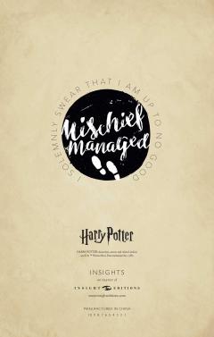Set Carnet si Pix Elder Wand - Harry Potter Hogwarts
