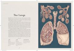 Anatomicum