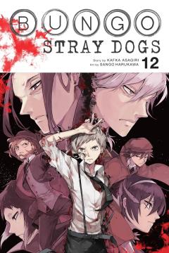 Bungo Stray Dogs - Volume 12