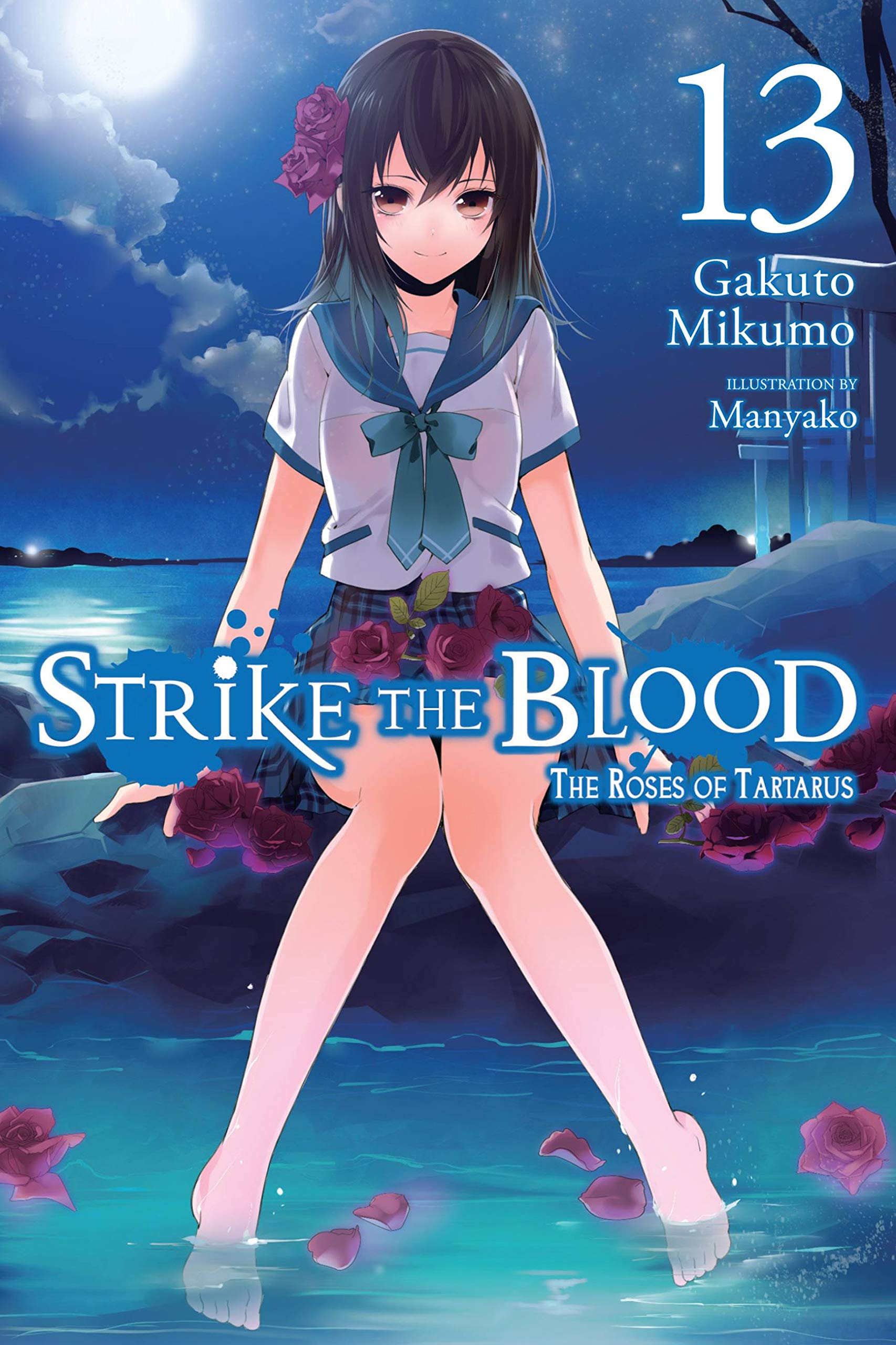 Strike the Blood Append Series by Gakuto Mikumo