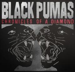 Chronicles Of A Diamond  (Deluxe)