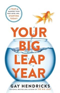 Coperta cărții Your Big Leap Year