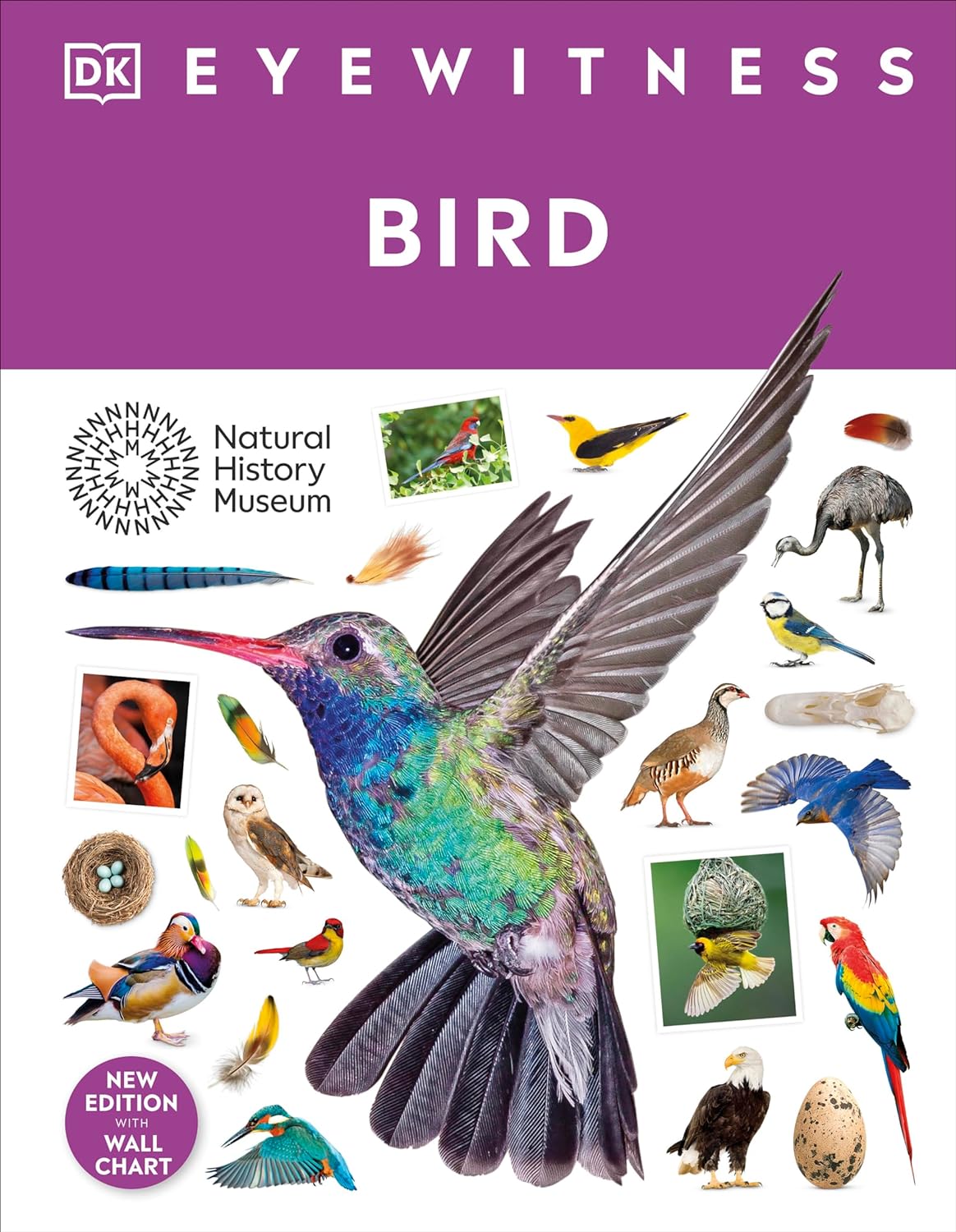 Bird - DK