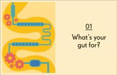 Gut - An Owner's Guide 