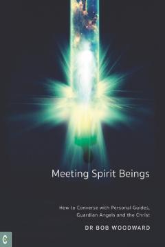 Coperta cărții Meeting Spirit Beings