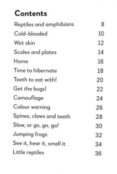 Reptiles and Amphibians