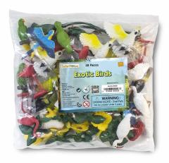 Set 48 figurine - Pasari exotice
