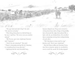 A Llama Called Lightning