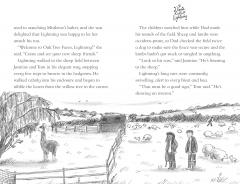 A Llama Called Lightning