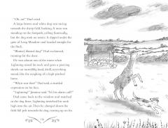 A Llama Called Lightning