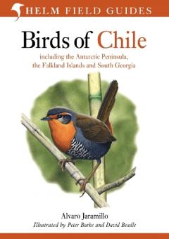 Birds Of Chile