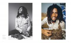 Bob Marley and the Golden Age of Reggae