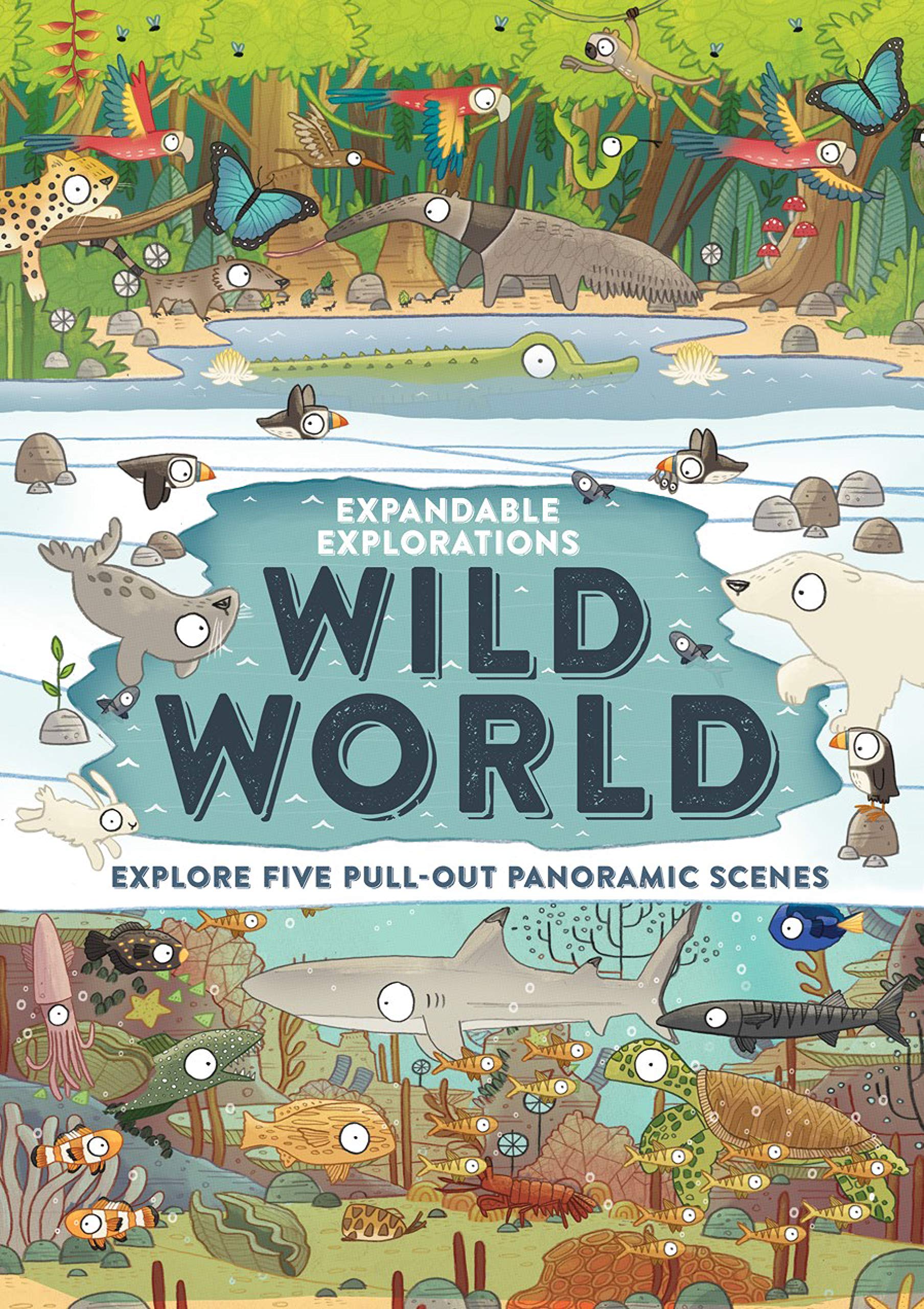 Expandable Explorations: Wild World