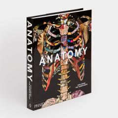 Anatomy