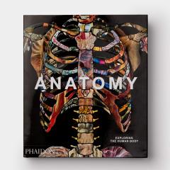 Anatomy