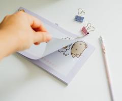 Carnet magnetic - Pusheen - Moments