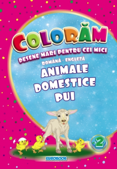 Animale domestice - Pui
