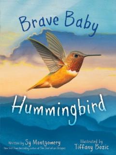 Coperta cărții Brave Baby Hummingbird