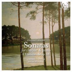 Brahms: Clarinet Sonatas (Sonatas for Clarinet and piano Op.120, 6 Klavierstücke Op.118)