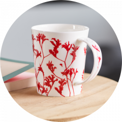 Cana - Cupti - Freesia