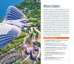 Fodor's InFocus Singapore