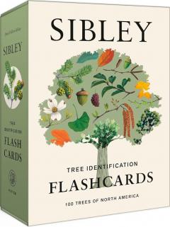 Sibley Tree Identification Flashcards