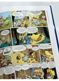 Asterix si Turul Galiei