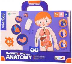 Puzzle magnetic - Anatomia umana