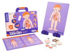 Puzzle magnetic - Anatomia umana