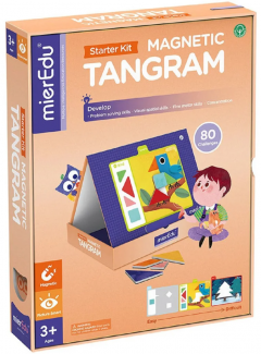 Joc - Tangram magnetic