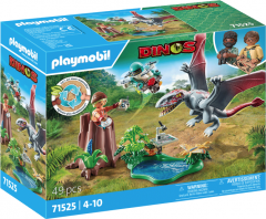 Set joaca - Observator pentru Dimorphodon