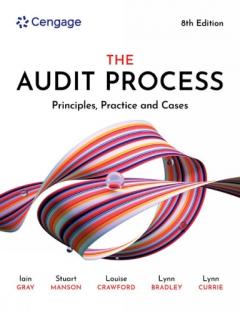 THE AUDIT PROCESS 8E