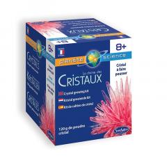 Kit educativ - Crystal Growing Kit - Red