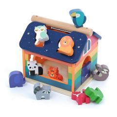 Jucarie educativa - House Shape Sorter