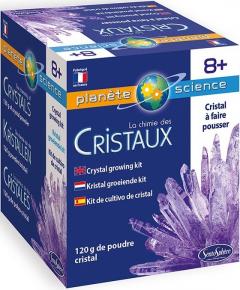 Kit educativ - Crystal Growing Kit - Violet
