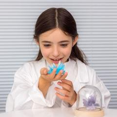 Kit educativ - Crystal Growing Kit - Violet