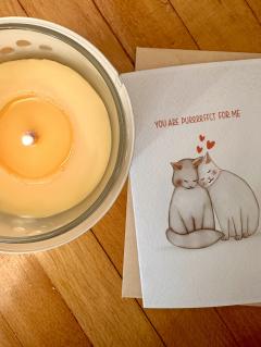 Felicitare - You Are Purrrfect for Me