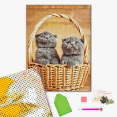 Mozaic cu diamante - Cos cu pisoi, 40x50 cm