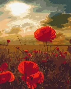 Pictura pe numere - Maci sub soarele arzator, 40x50 cm