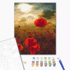 Pictura pe numere - Maci sub soarele arzator, 40x50 cm