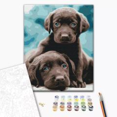 Pictura pe numere - Catei cu ochi albastri, 40x50 cm