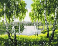 Pictura pe numere - Mesteceni tineri, 40x50 cm