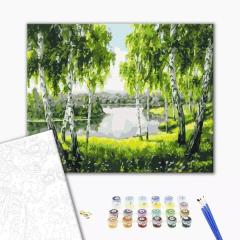 Pictura pe numere - Mesteceni tineri, 40x50 cm