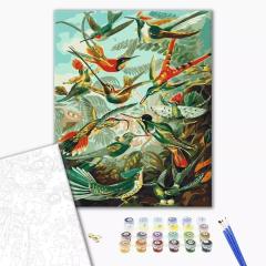 Pictura pe numere - Regatul zburatoarelor, 40x50 cm