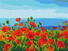 Pictura pe numere - Camp de maci. Claude Monet, 40x30 cm