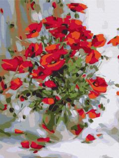 Pictura pe numere - Maci, 30x40 cm