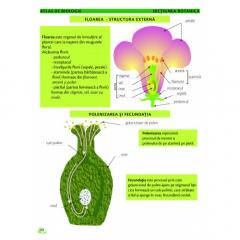 Atlas de biologie scolar pentru gimnaziu (clasele V-VIII)