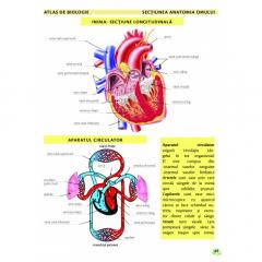 Atlas de biologie scolar pentru gimnaziu (clasele V-VIII)